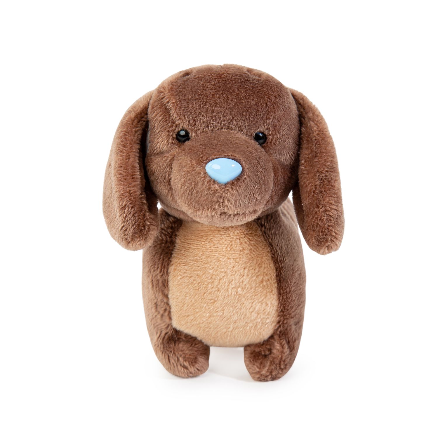 Blue nosed friends sausage dog