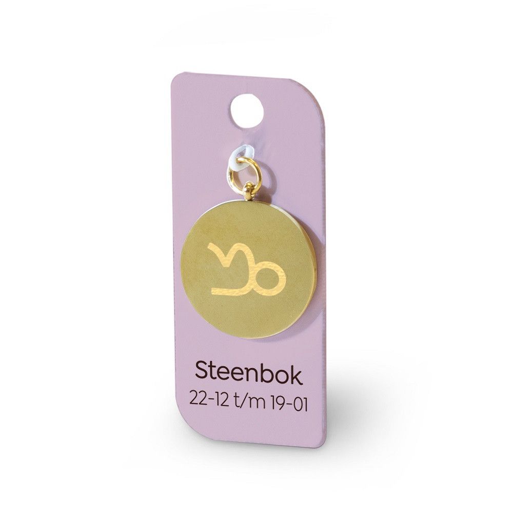 Gouden charms steenbok