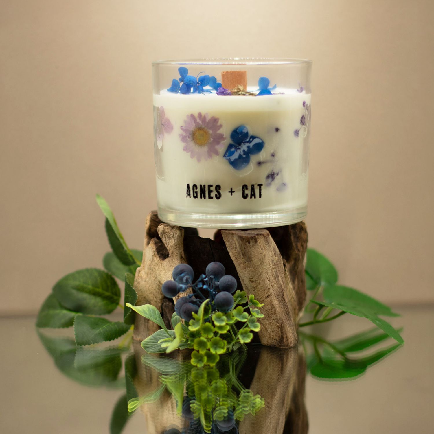 Agnes + cat - sojakaars moorland