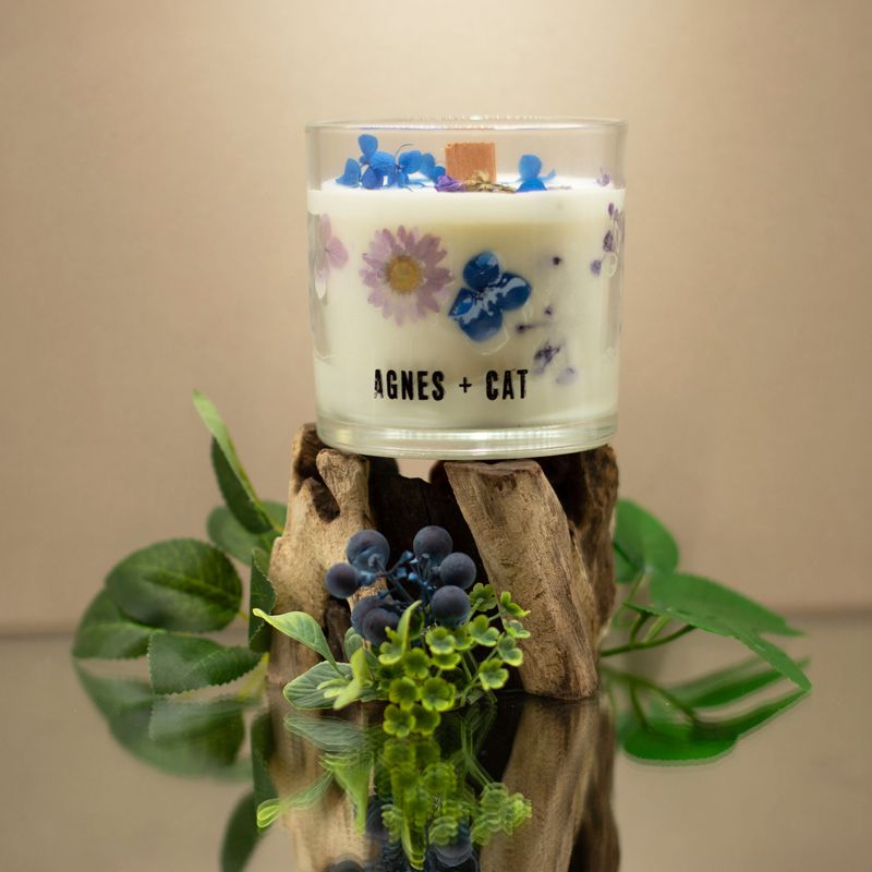 Agnes + cat - sojakaars moorland