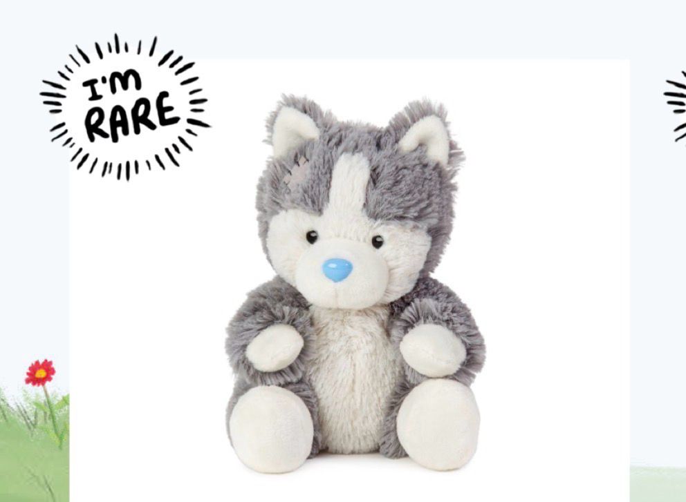 Blue nose friends Husky