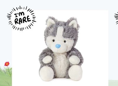 Blue nose friends Husky