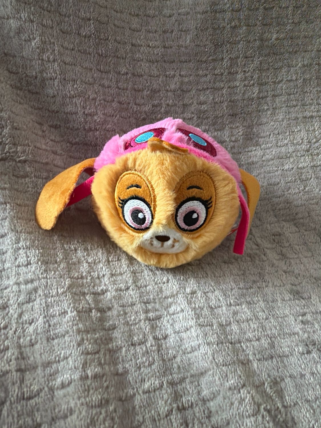 Bouncebal Paw Patrol Sky