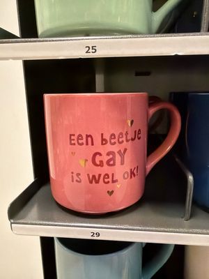 Mok 29 een beetje gay