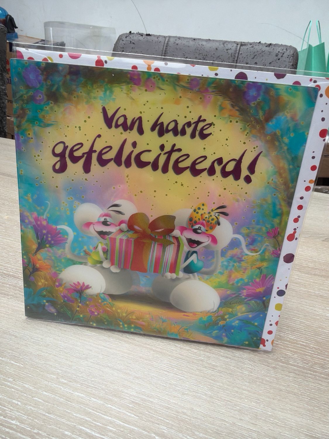 Diddl 3D wenskaart motief 11