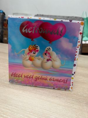 Diddl 3D wenskaart motief 30