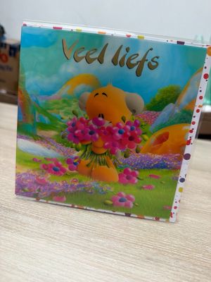 Diddl 3D wenskaart motief 35