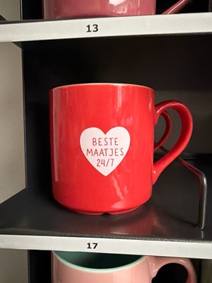 Mok 17 beste maatjes