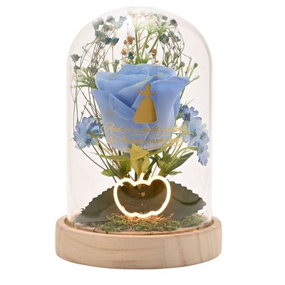 Stolp met LED licht Assepoester