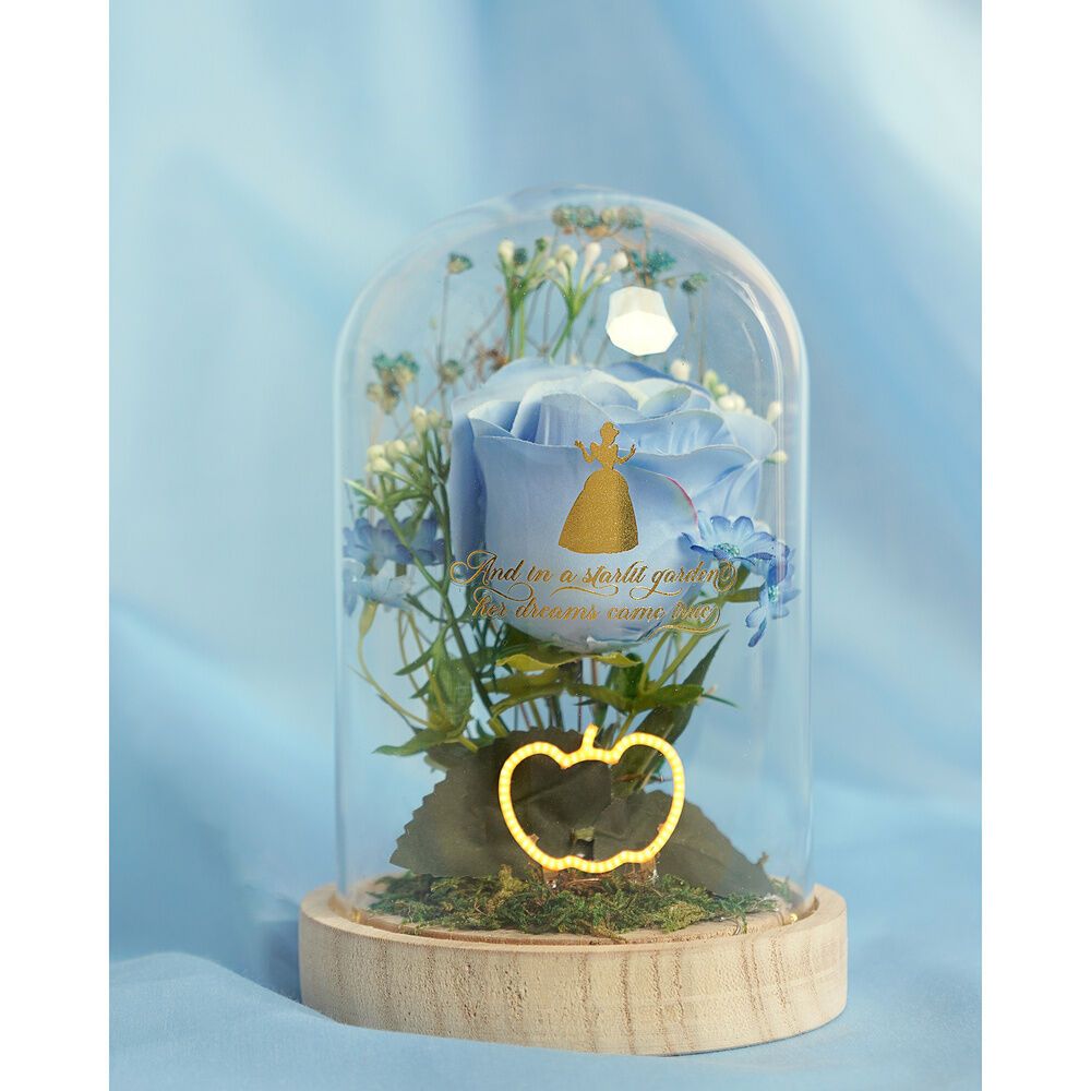 Stolp met LED licht Assepoester