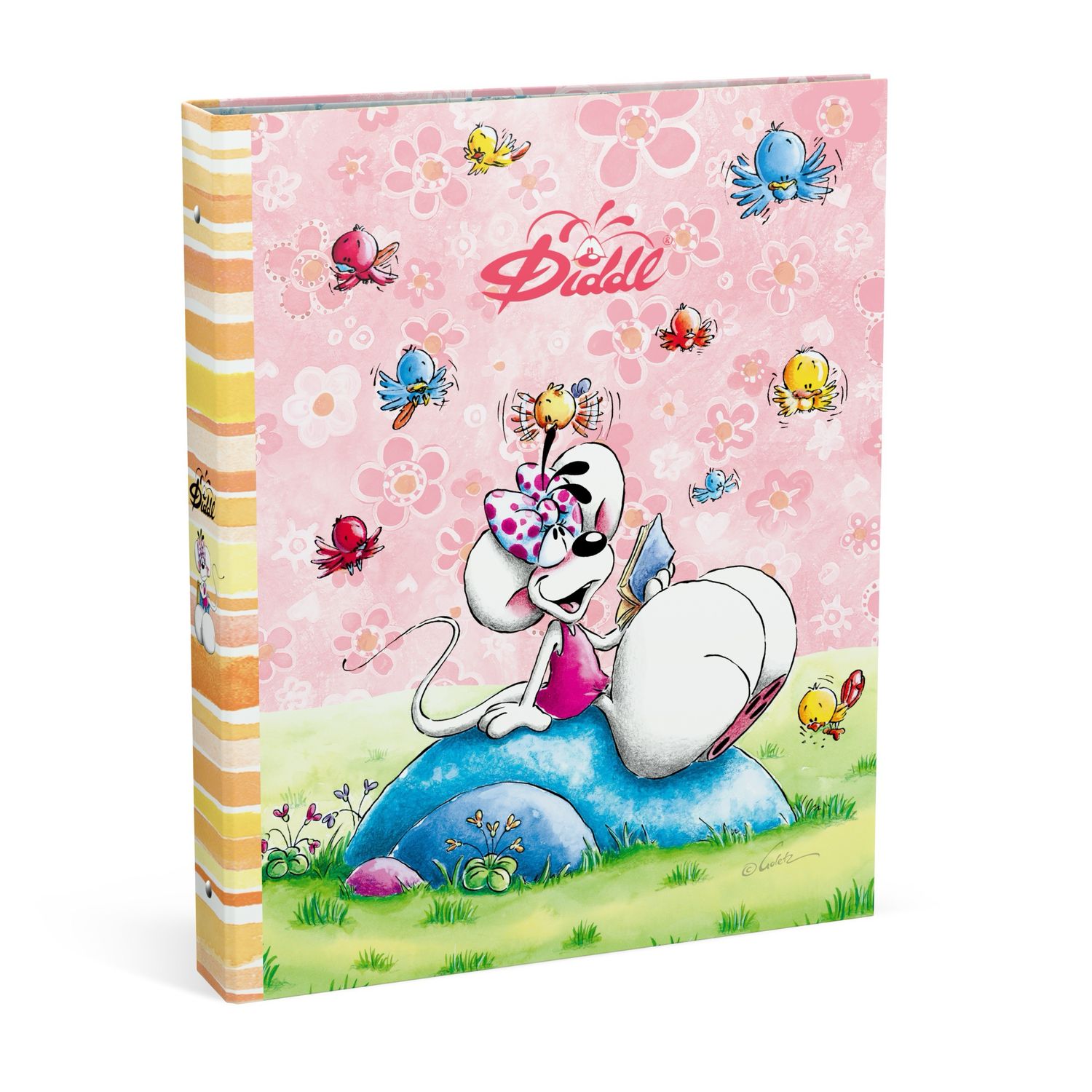 Diddlina ringmap A4 PRE-SALE