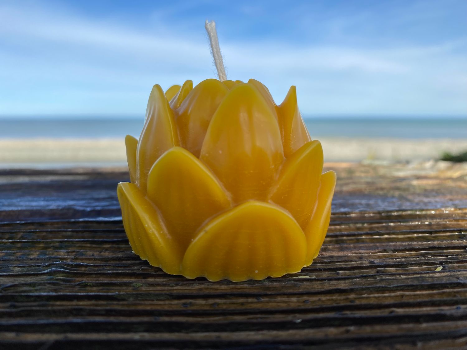 Beeswax candle, lotus shape