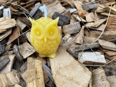 Little owl candle