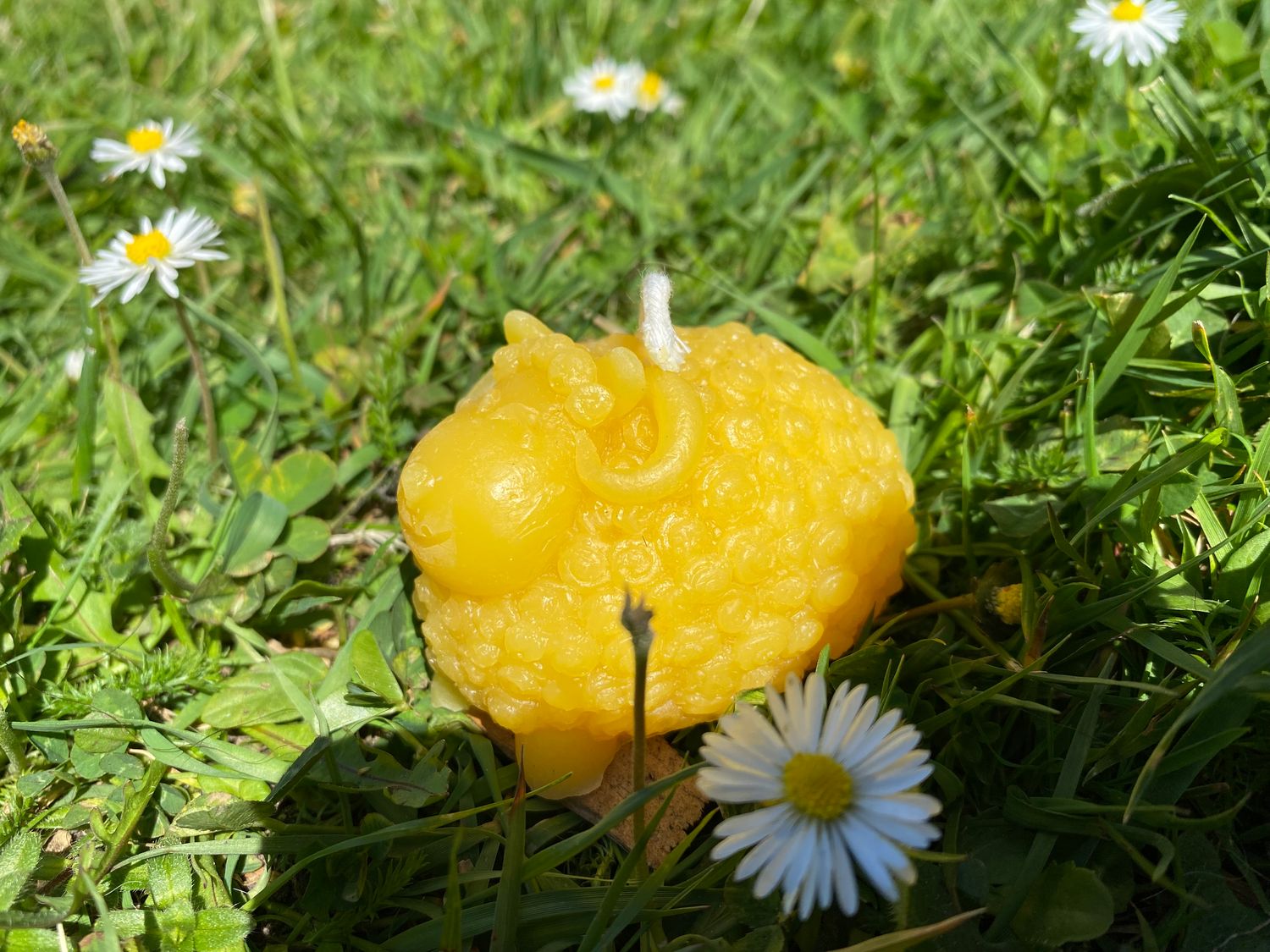 Sheep candle