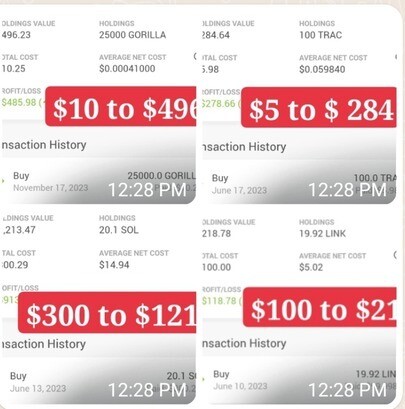 GOLDEN 🥇 
TICKET TO FLIPPING CRYPTO COIN WITH 100% R.O.I FREE ACCESS