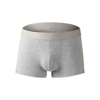 BOXER 
