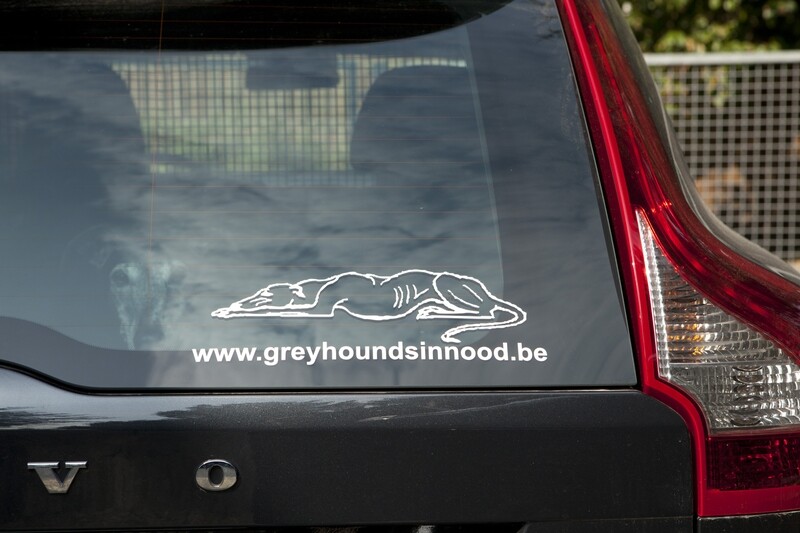 Sticker Klein wit/ Zwart
