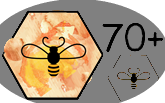 AbejApi 70 +