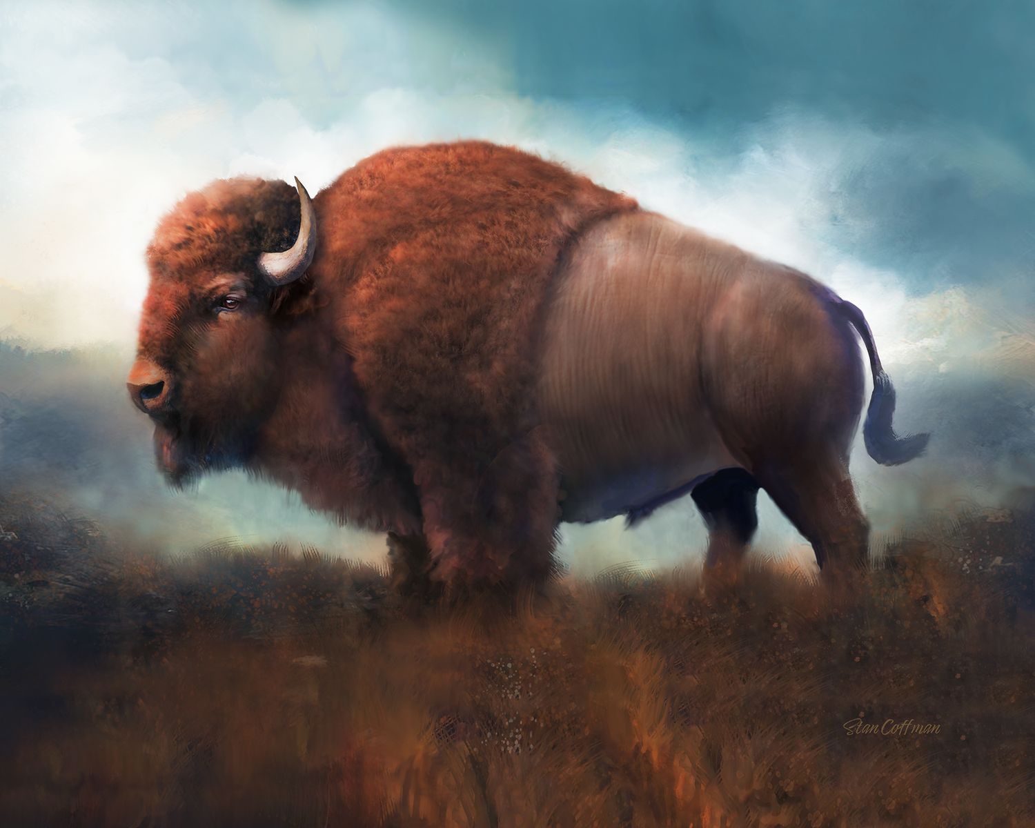 Bison