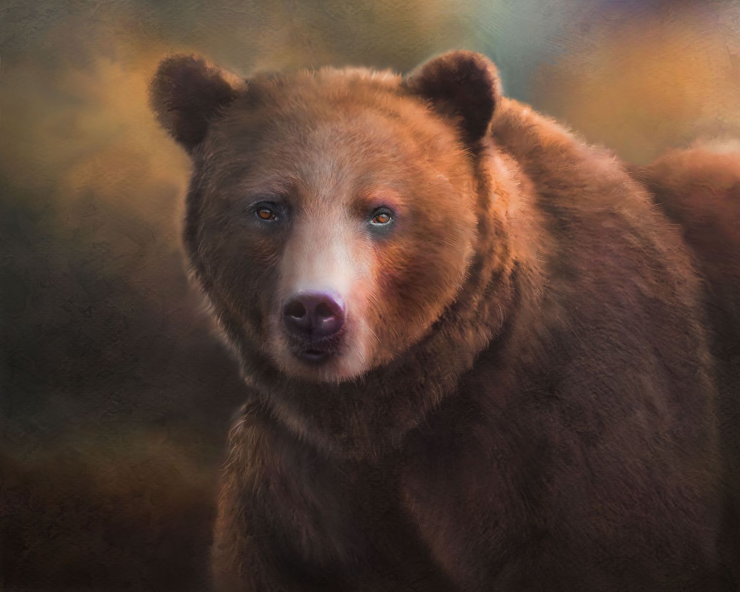 Brown Bear