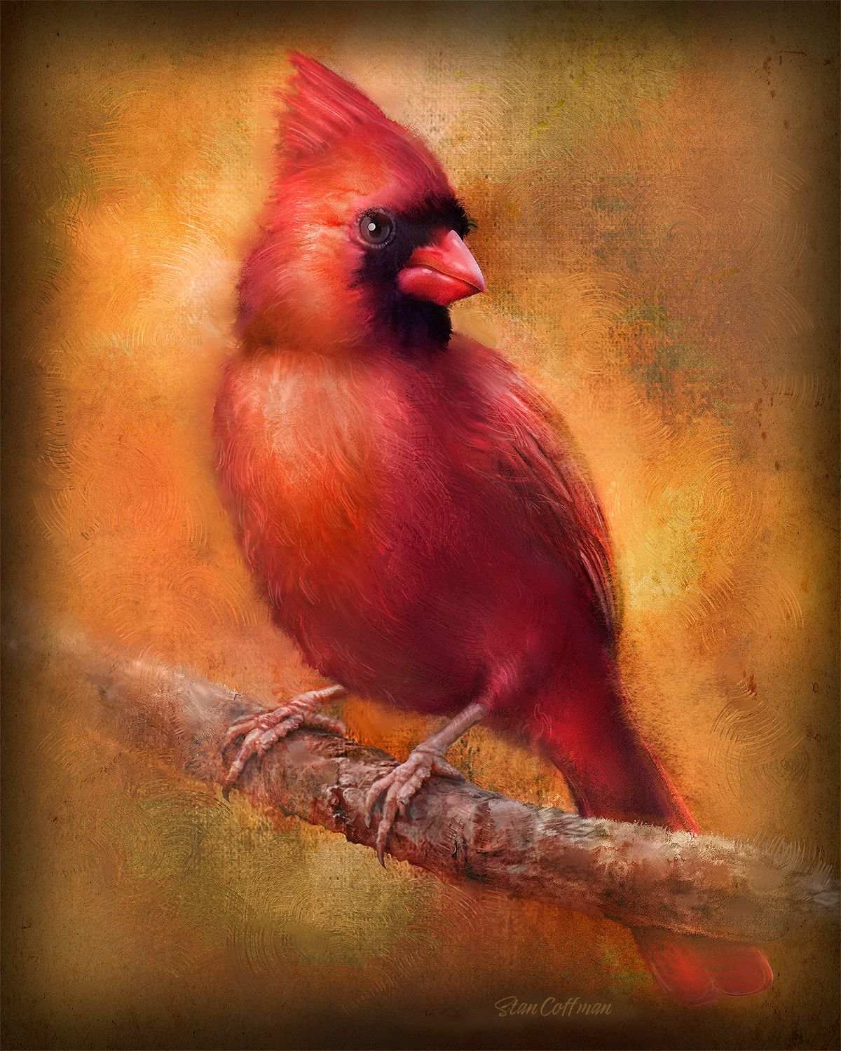 Cardinal on a Branch