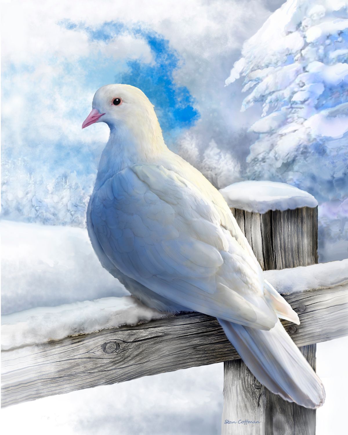 White Dove on a Fence