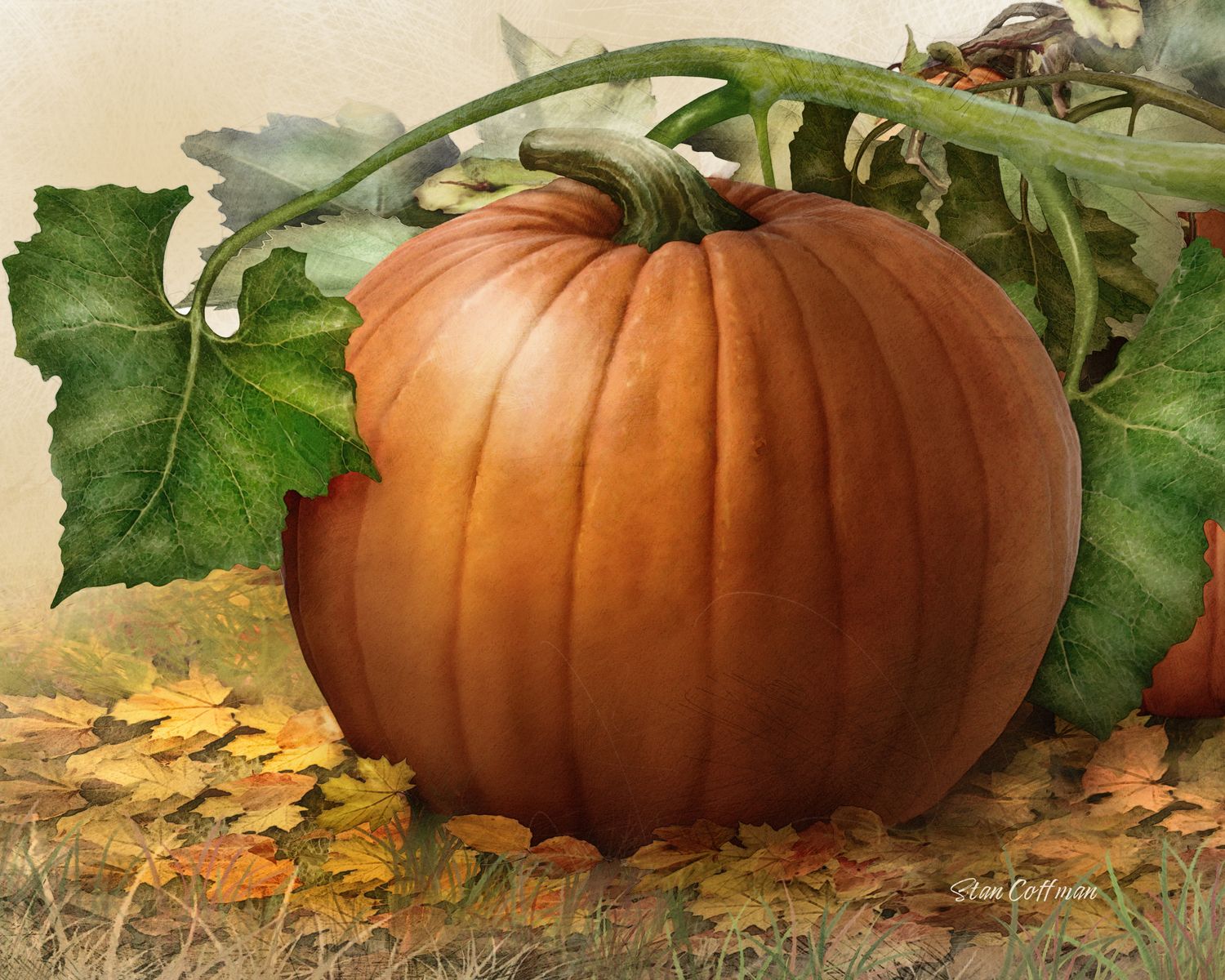Fall Pumpkin