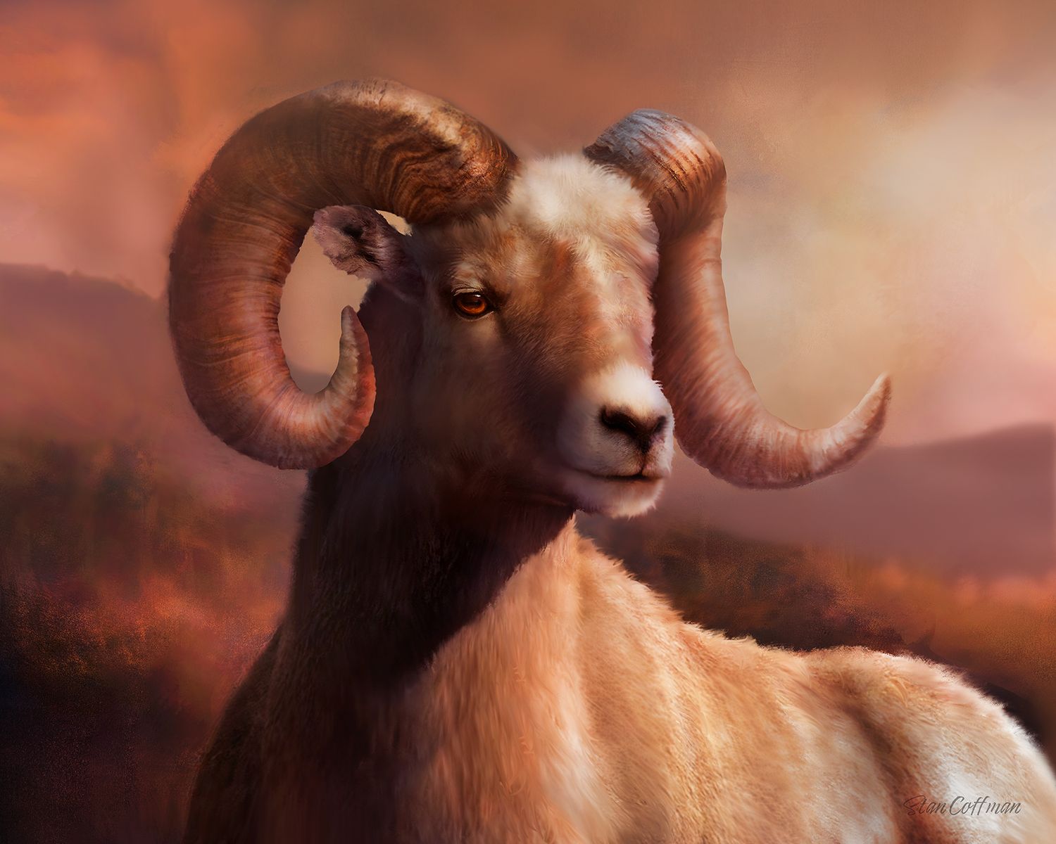 Bighorn Sheep Portrait
