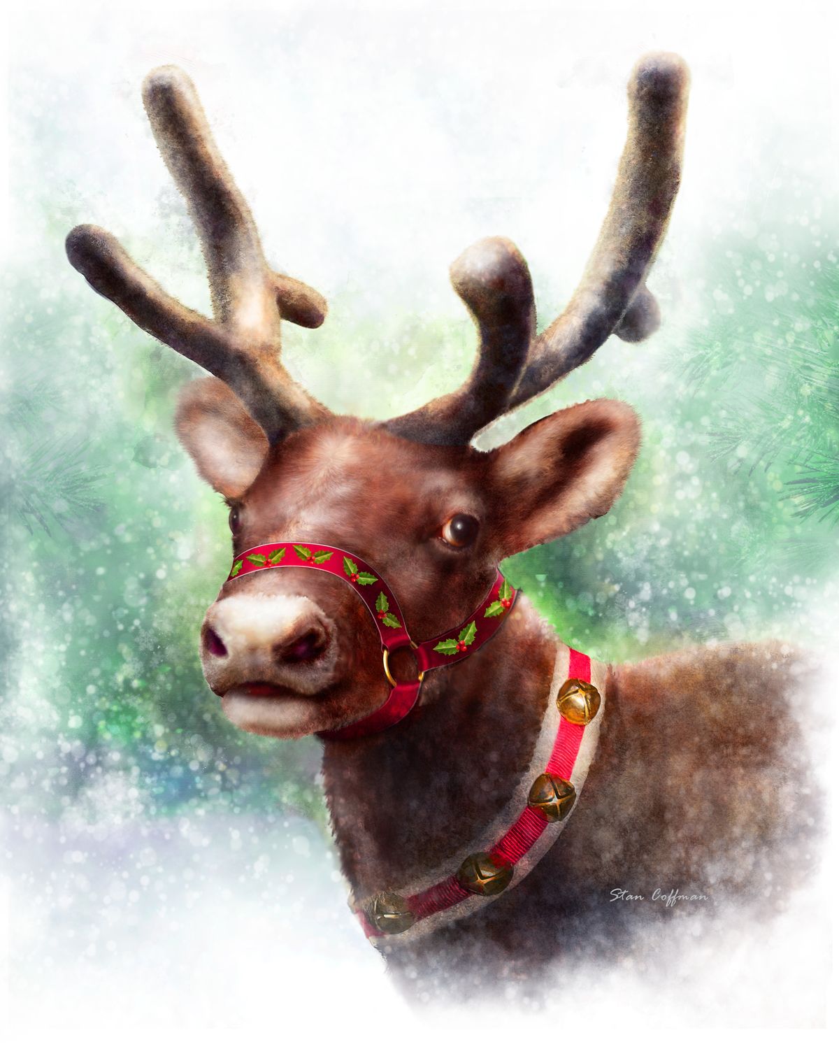 Reindeer