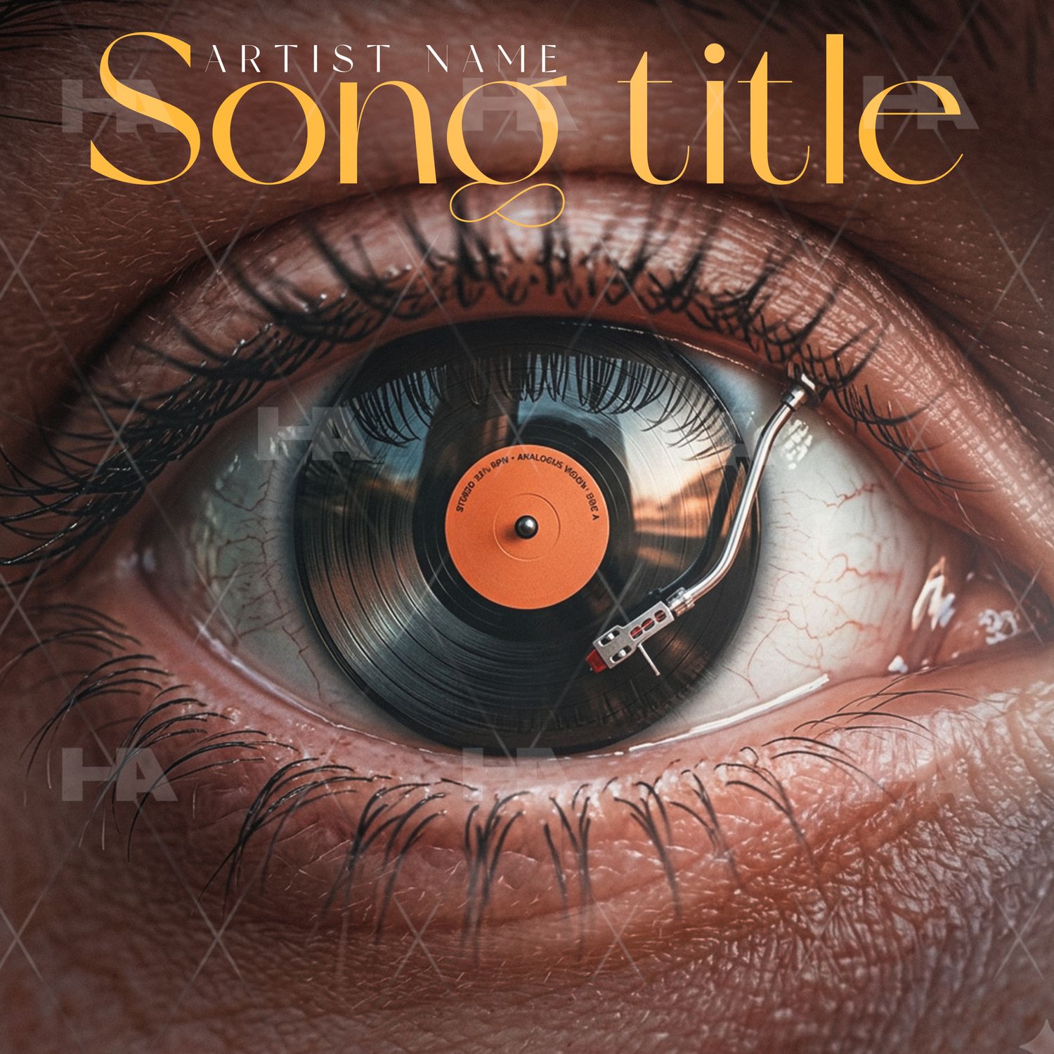 Vinyl Vision