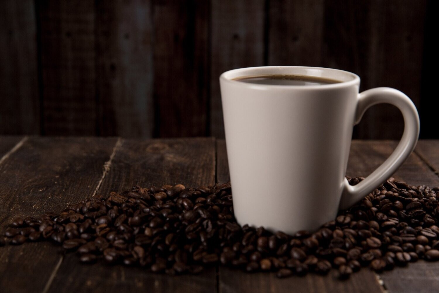 Critic Coffee Lover and Competition Canine - 4 month