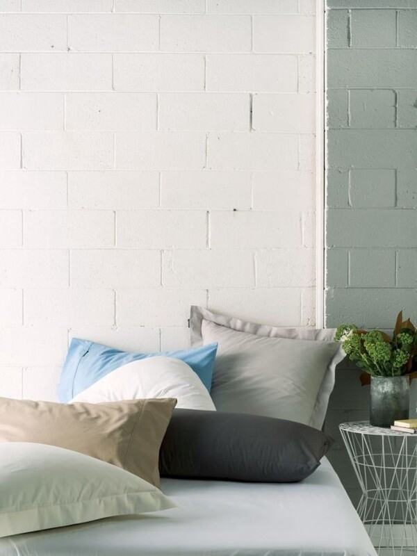 Remo Percale Fitted Sheet | 250TC