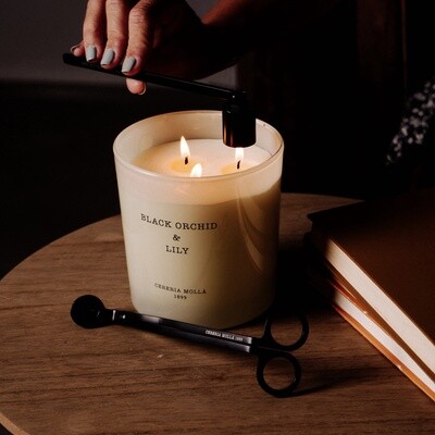 XL Candle | 3 Wick | 600g