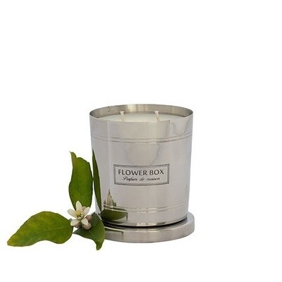 Flower Box Standard Candle