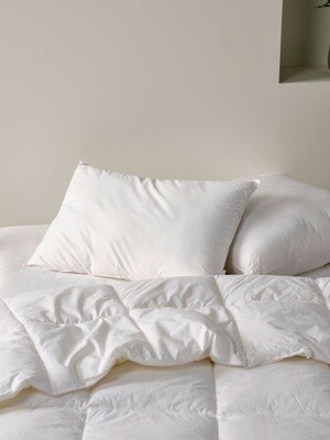 All Seasons Standard Pillow | 1000 GSM