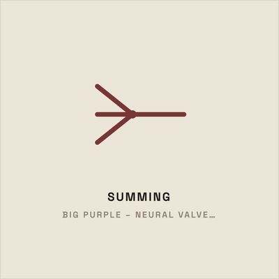 Big Purple – Neural Valve Summing Emulations (GENESIS)