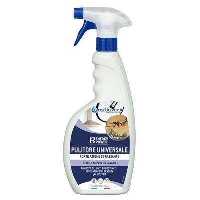 BELLINZONI- B ENERGY POWER sgrassatore concentrato BELLINZONI- B ENERGY POWER sgrassatore concentrato