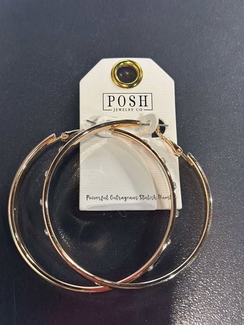 Pink Panache (Posh) Hoop Earring with Crystal Inserts