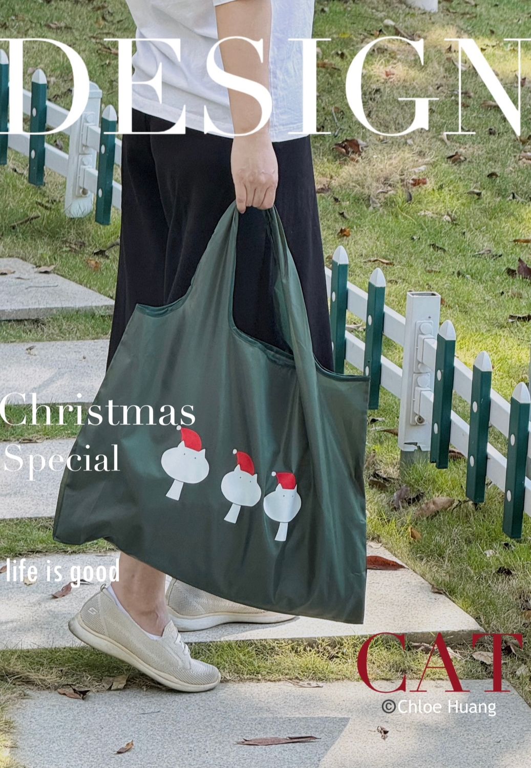 Shopping Bag & Cushion
