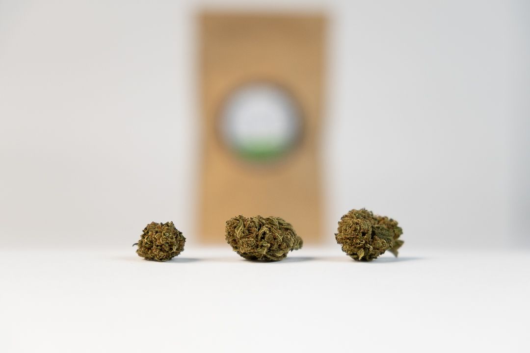 CRITICAL HAZE