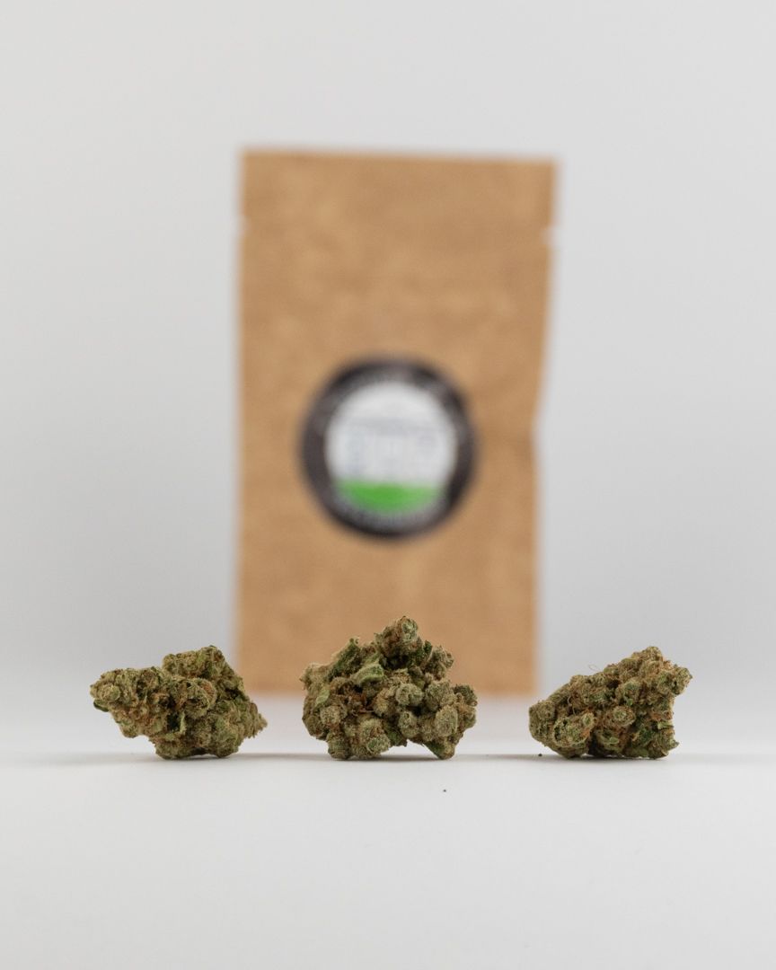 GELATO
