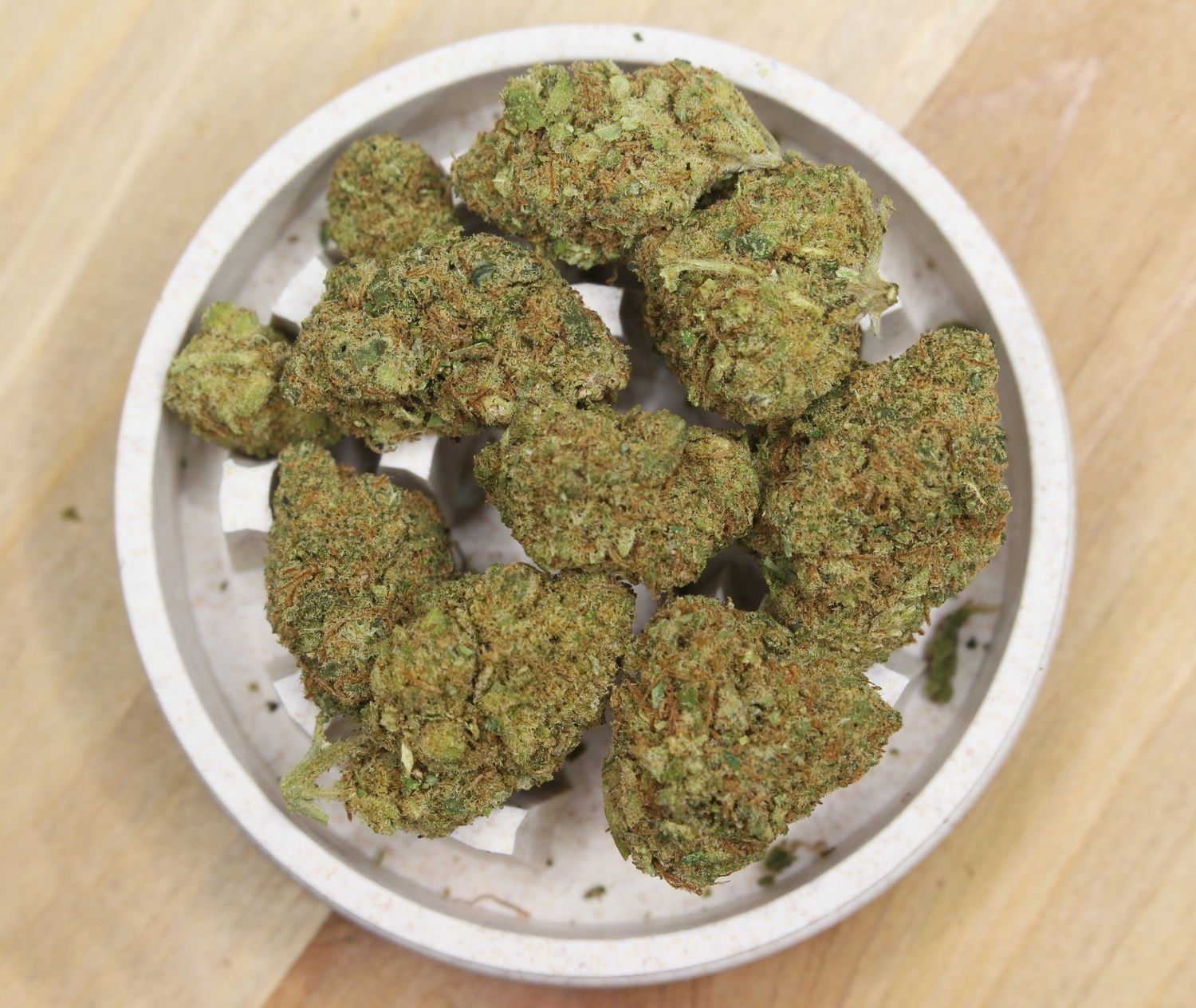 GELATO