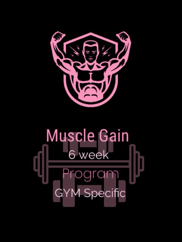 6 week muscle gain program (GYM specific)