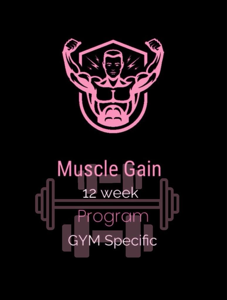 12 week muscle gain (GYM specific)