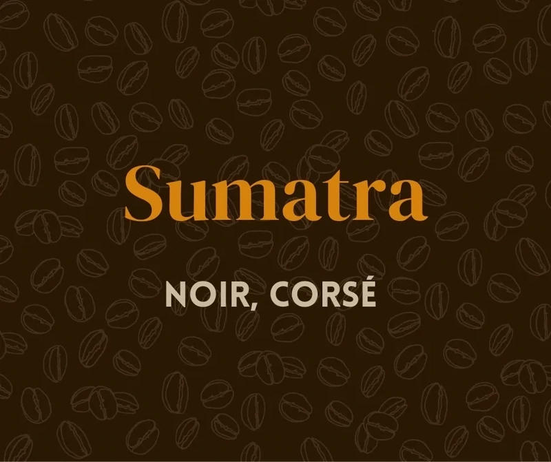 Sumatra