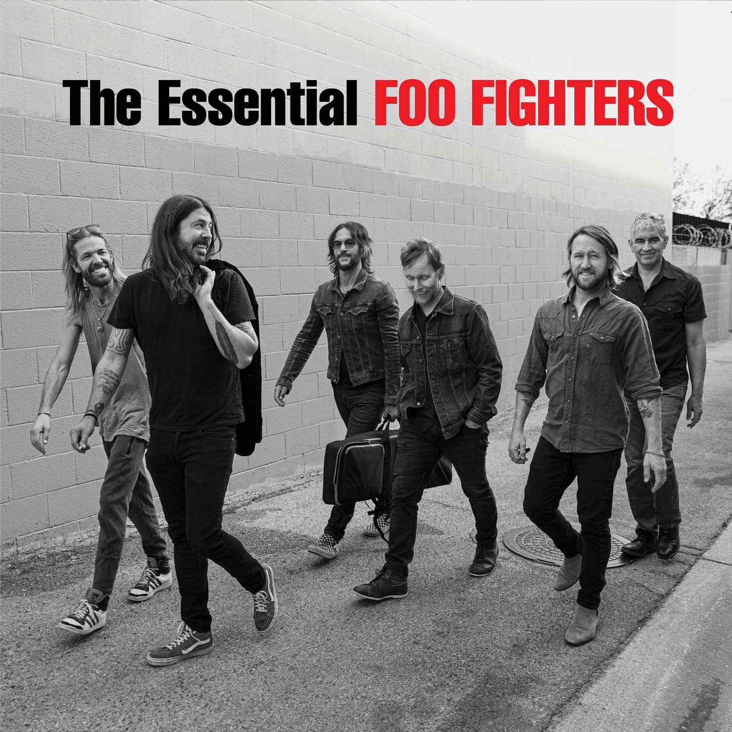 FOO FIGHTERS The Essential 2LP NEW &amp; SEALED