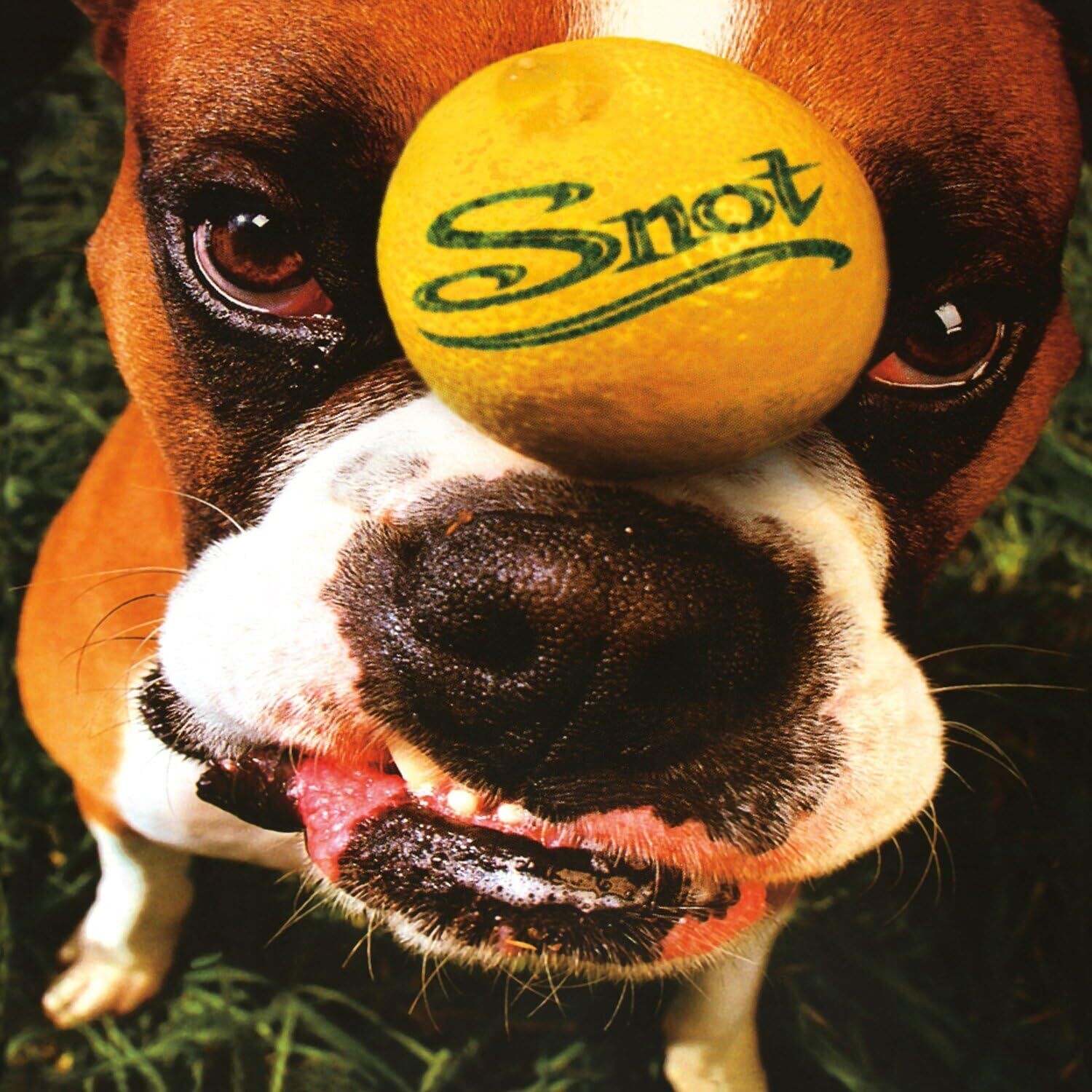 SNOT Get Some 180gm NEW &amp; SEALED