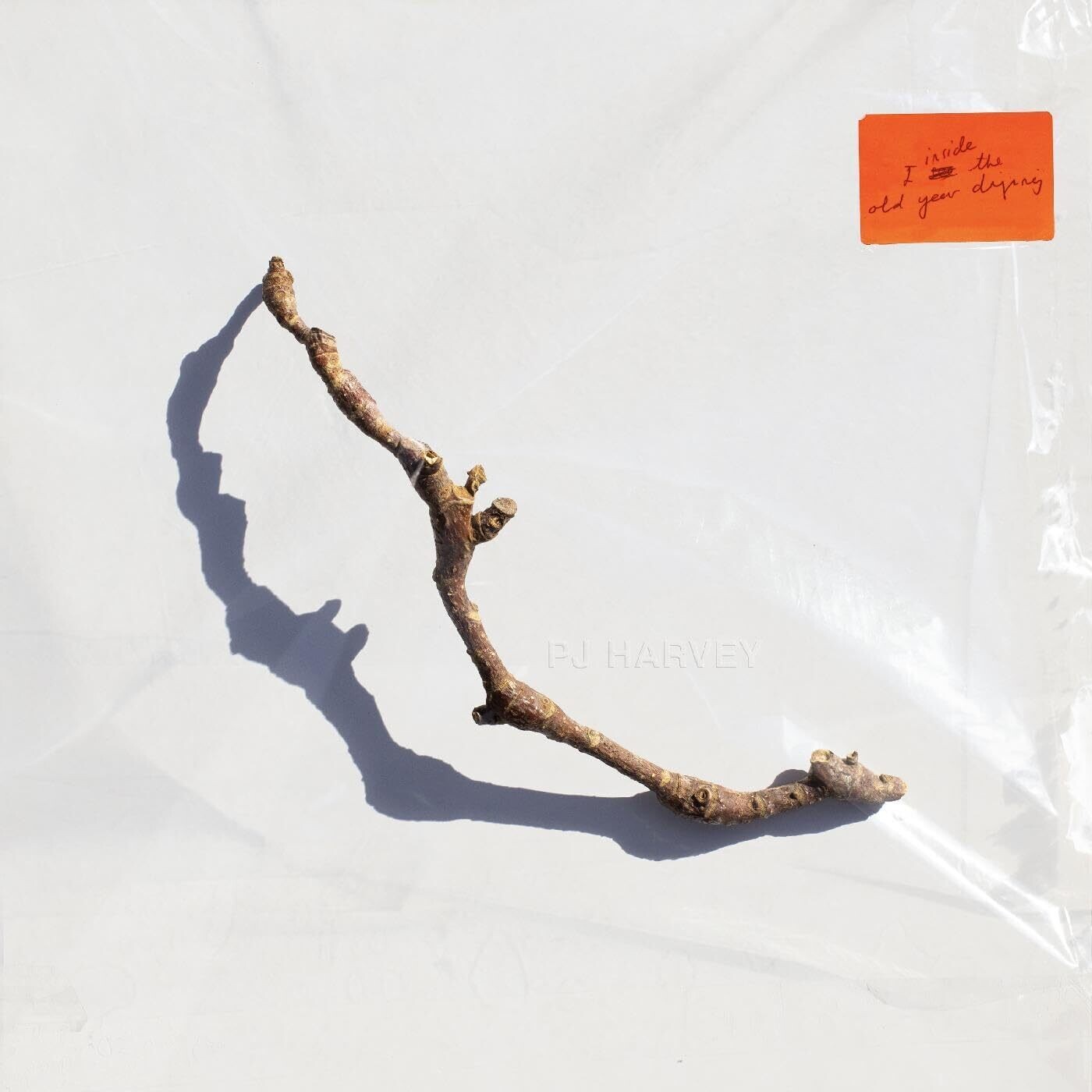 PJ HARVEY I Inside The Old Year Dying NEW &amp; SEALED