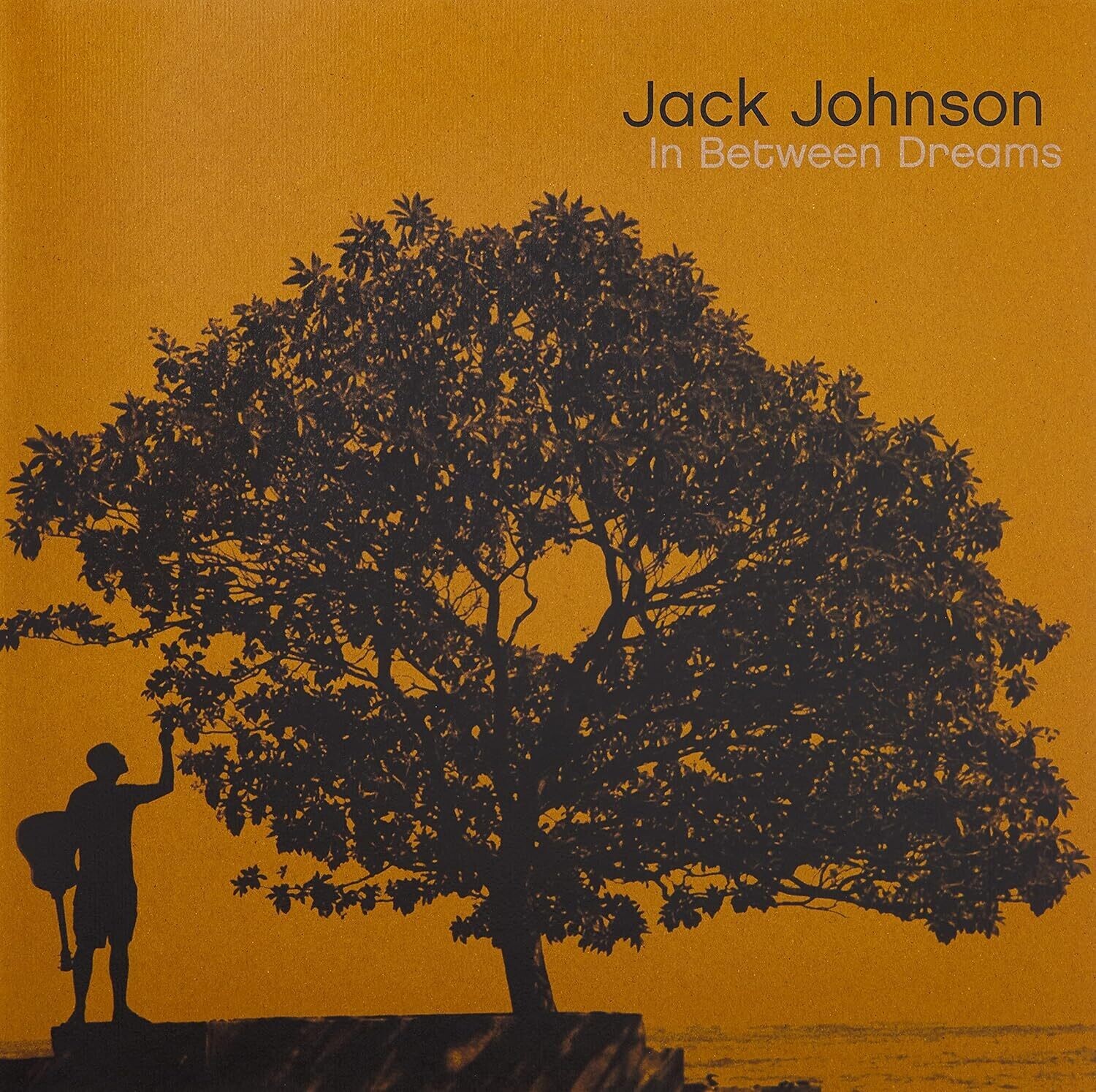 JACK JOHNSON In Between Dreams NEW &amp; SEALED