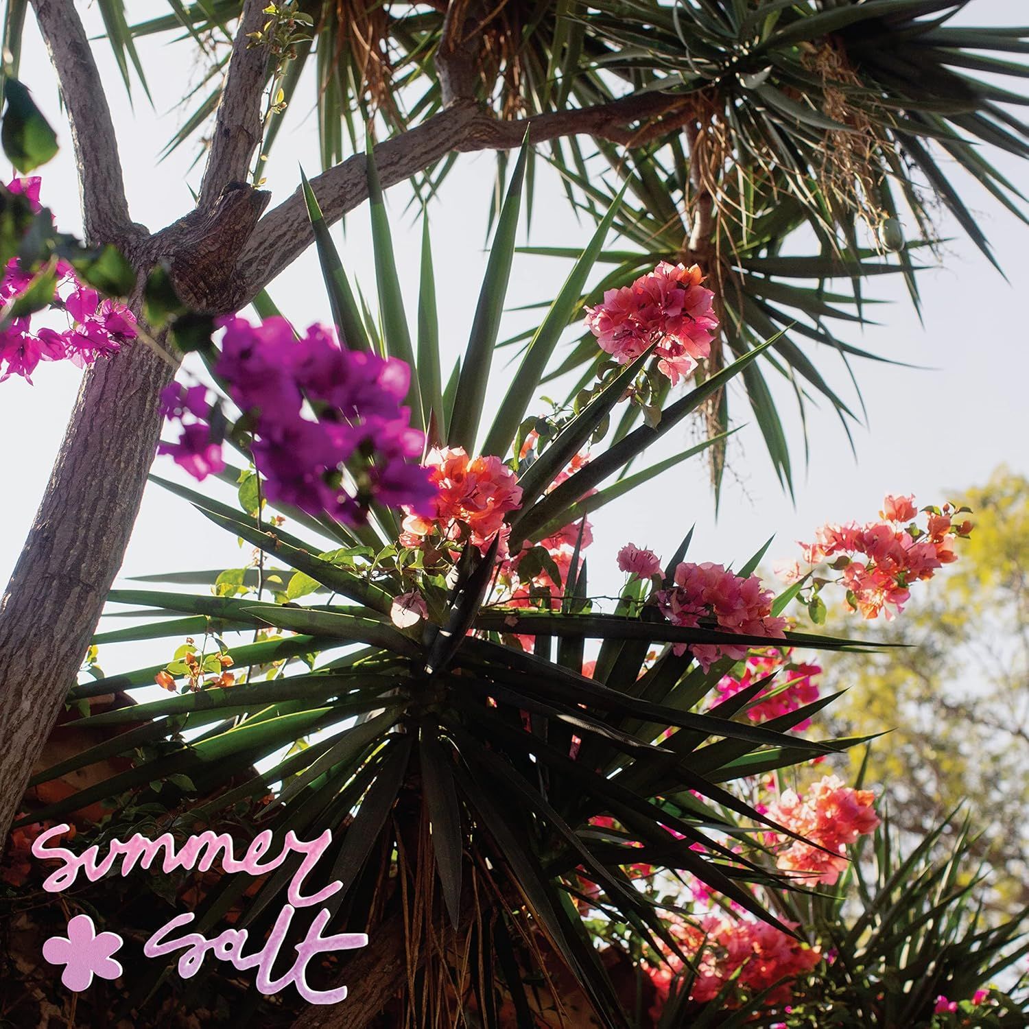 SUMMER SALT Campanita PINK VINYL NEW &amp; SEALED